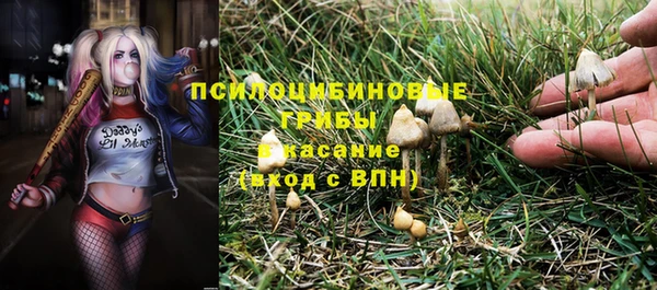 PSILOCYBIN Балахна