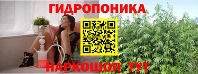 гидра Бийск