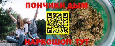 крисы Жуковский