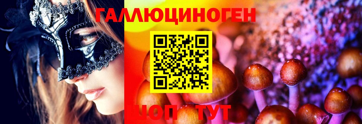 Псилоцибиновые грибы MAGIC MUSHROOMS  Вход с VPN  Галлюциногенные грибы Psilocybine cubensis  Коломна 