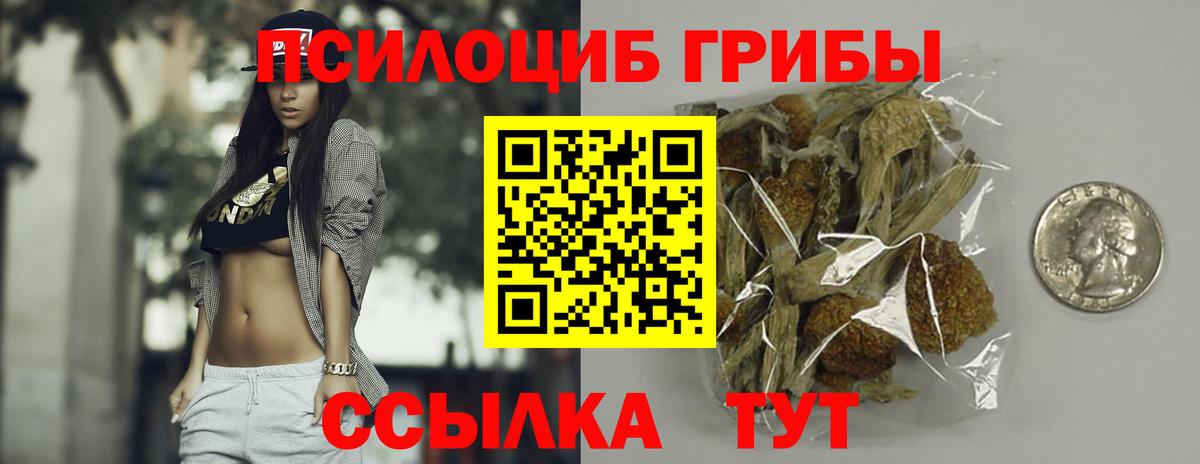 Галлюциногенные грибы GOLDEN TEACHER  как найти наркотики  Коломна 